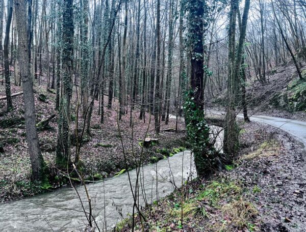 Pressemitteilung_Umweltschutz_Gewinnbringende Synergie in den Nordgemeinden
