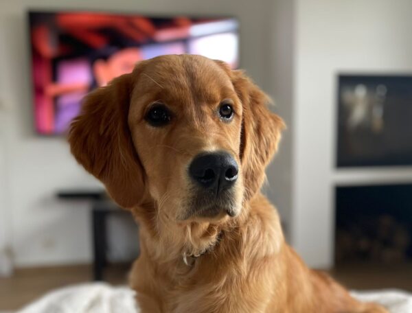 WhatsApp Bild 2024-09-28 um 09.17.36_b36a7b4b