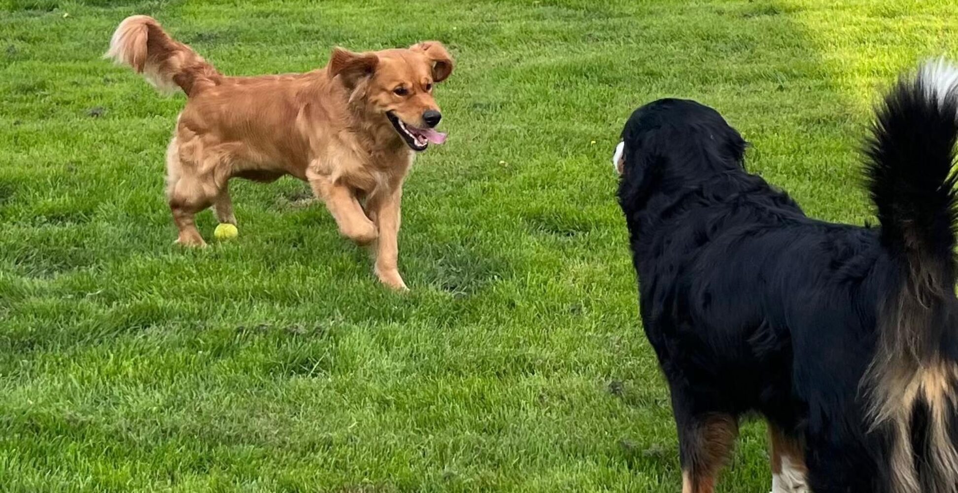 WhatsApp Image 2026-03-04 at 08.16.56