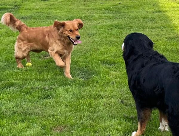 WhatsApp Image 2026-03-04 at 08.16.56